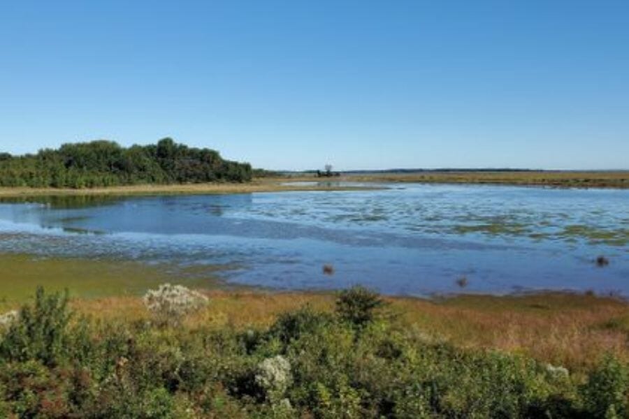 Little Creek in Delaware where rocks and minerals are abundant