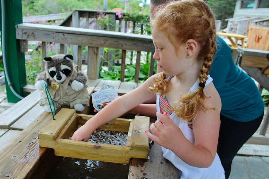 A young girl sifting through dirt for gems at the sluice of Lost River Gorge & Boulder Caves