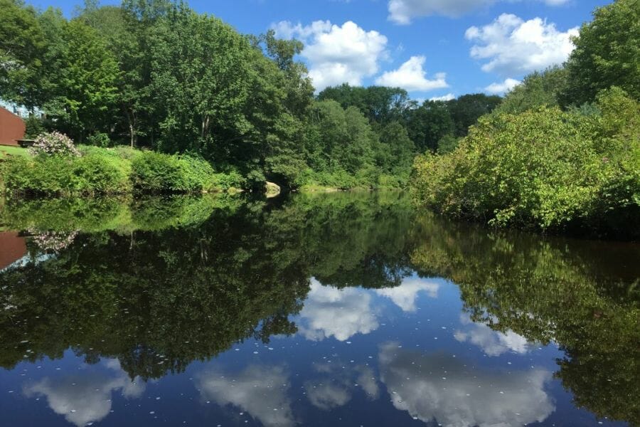 A calm and quiet Moosup River surrounded by lush big trees