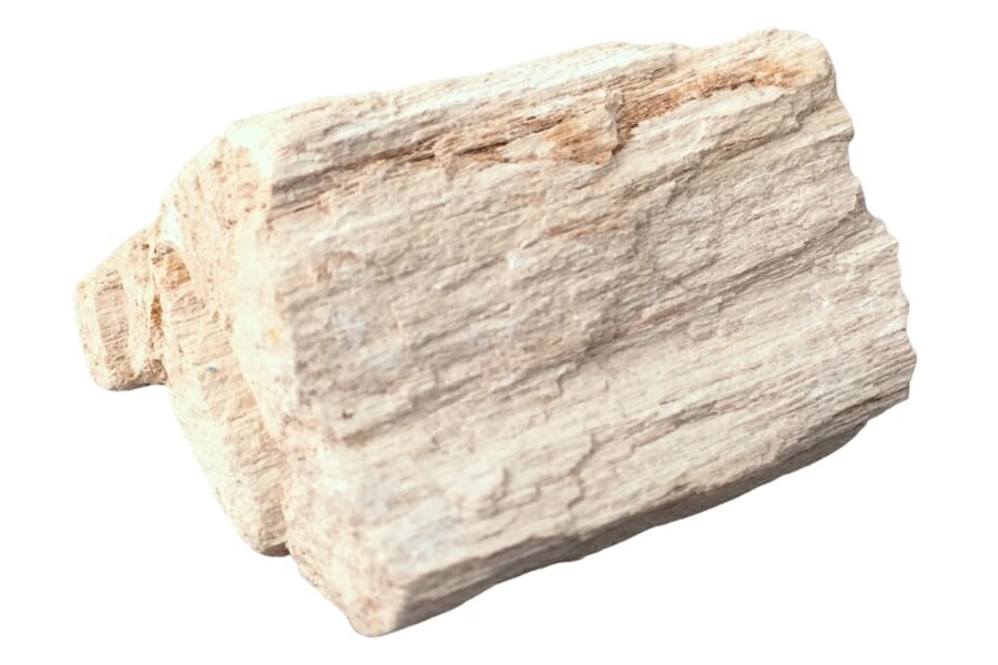 An elegant white petrified wood specimen