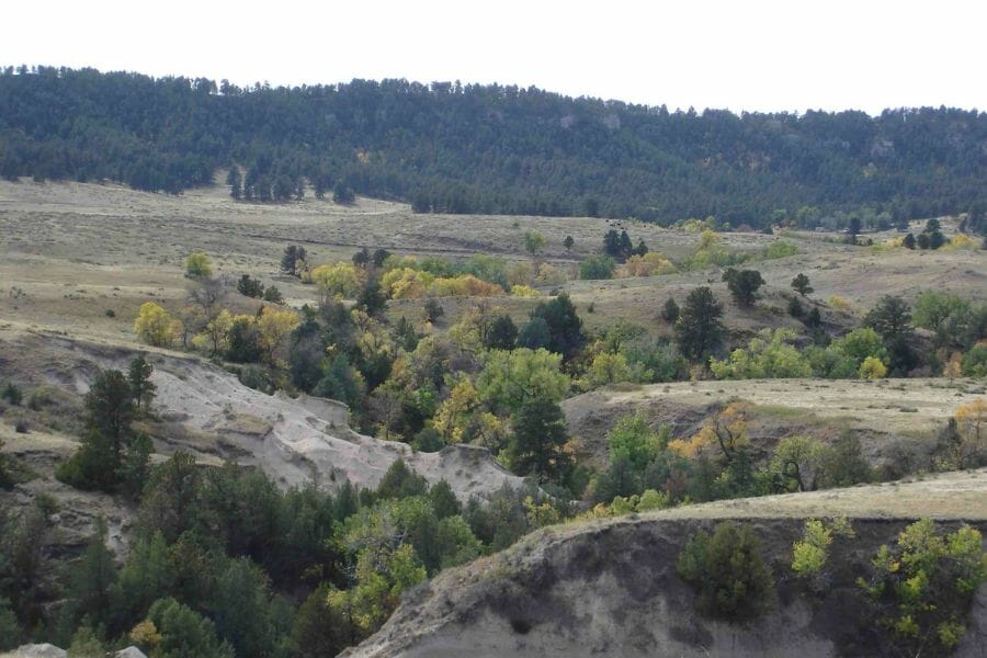 Ranges of grasslands and trees at the Oglala National Grasslands