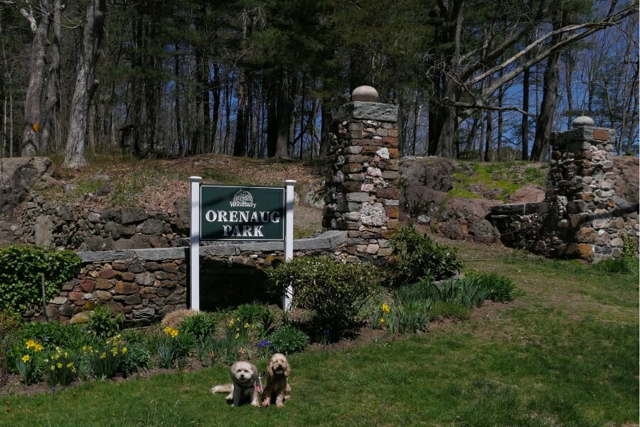 Entrance of the Orenaug Park, where the Orenaug Hills is located, with two dogs posing in front of the signage