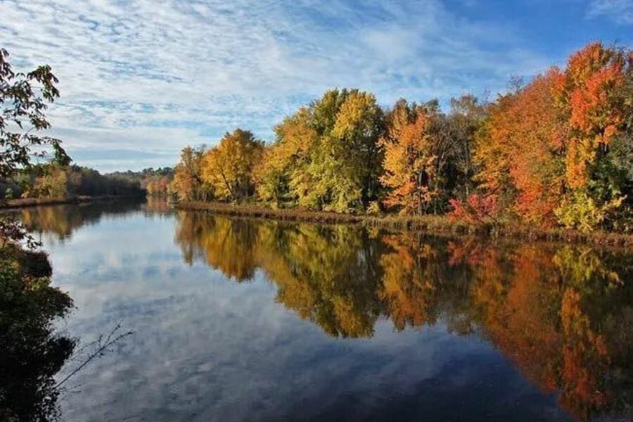 A peaceful Otter Creek surrounded by big trees