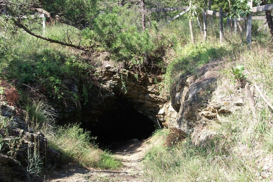 A hidden tunnel at Owing Mills