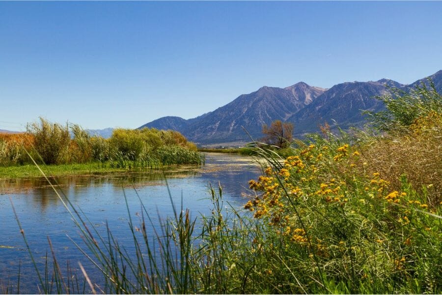 A scenic view of Pine Nut Mountain with a flowing body of water