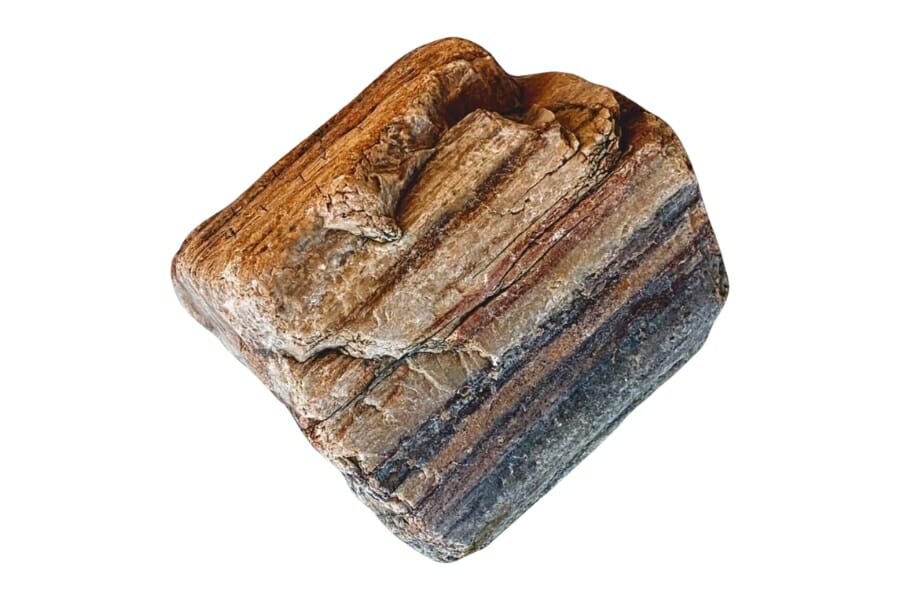 A gorgeous polished petrified wood with a beautiful detailed pattern