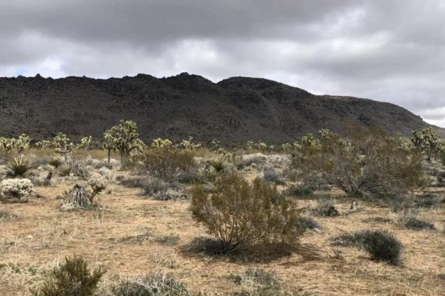 A dried up Queen Mountain with grass and trees at its foot