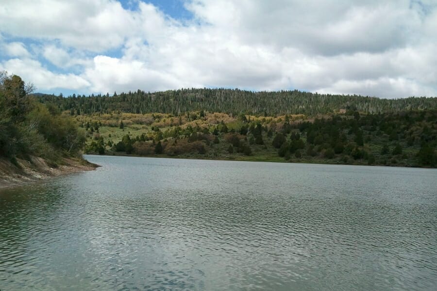 Serene waters of the Red Creek with its nearby landscape as background