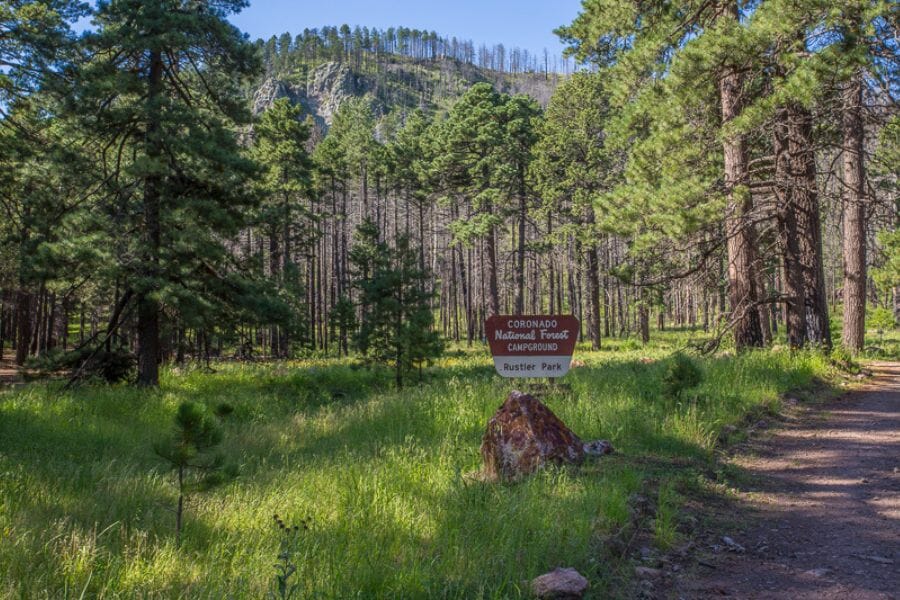 Rustler Park surrounded by green trees and green grass