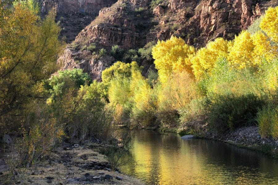 A calm and serene San Francisco River with lush green trees and steep cliffs