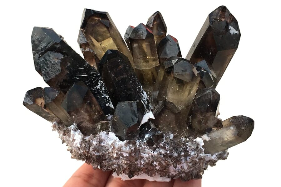 Stunning cluster of Smoky Quartz held out on a palm
