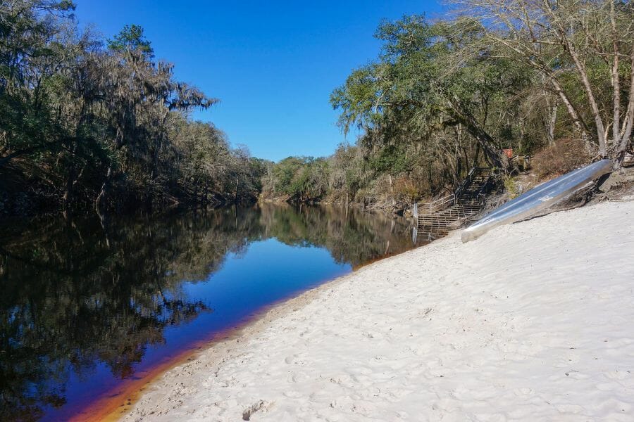 The sandy shores at the Suwannee River surrounded with trees
