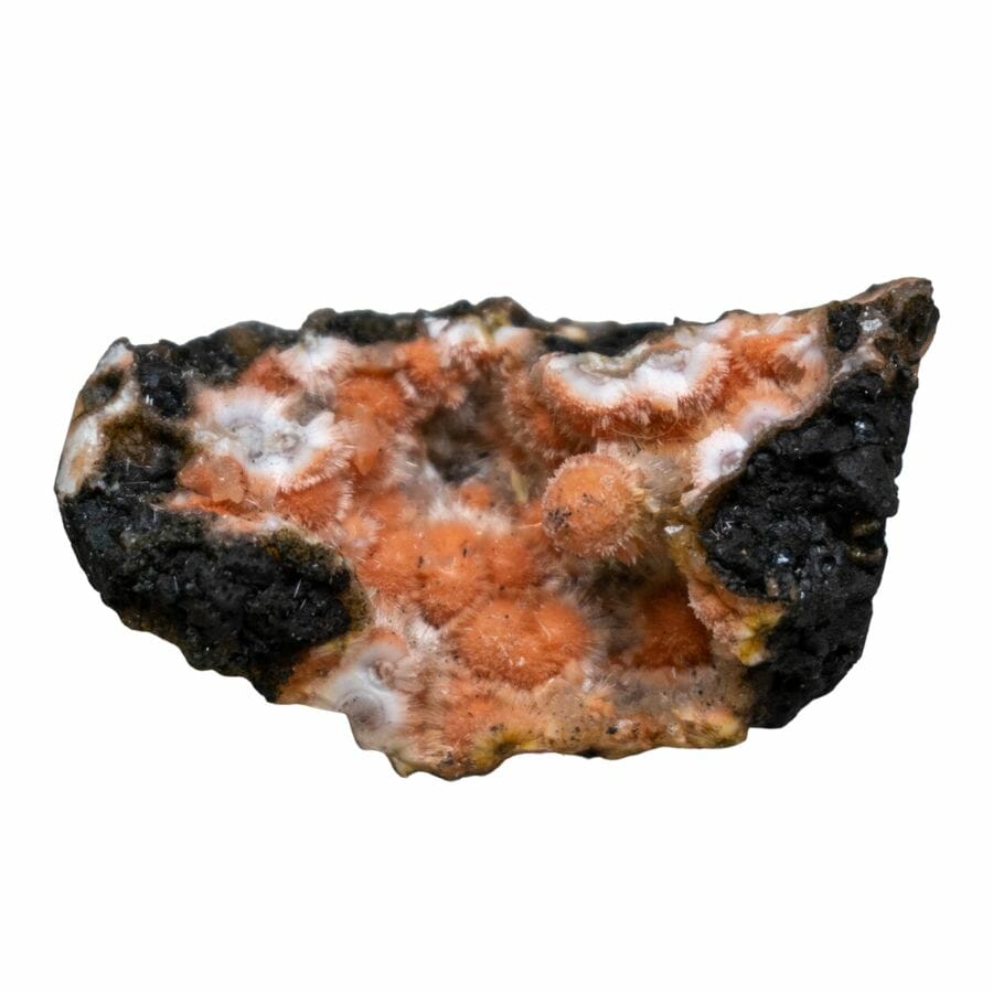 An orange thomsonite rock surrounded by a black mineral