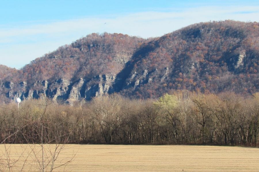 Wide view of Knobly Mountain foregrounded by a wide field