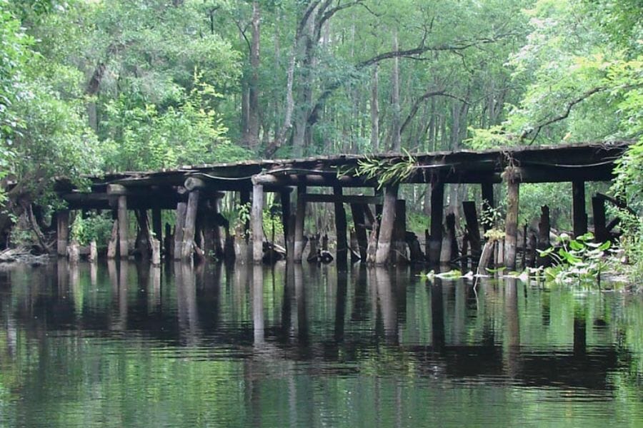 Wooden bridge and lush green trees at Withlacoochee River