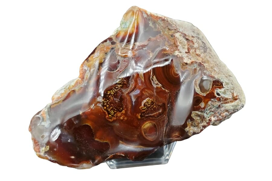 A unique-looking agate with different pretty patterns around it