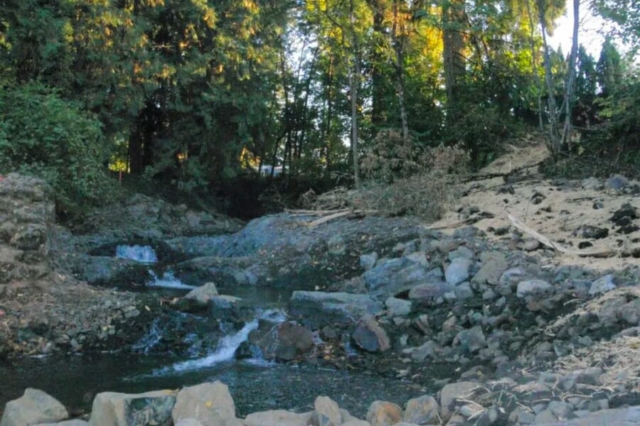 View of the Ames Creek, located in Sweet Home Petrified Forest, where petrified wood can be found