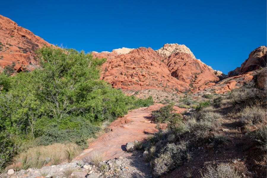 Layers of rocks sit on the vast area of Ash Spring Canyon where you can find agate specimens