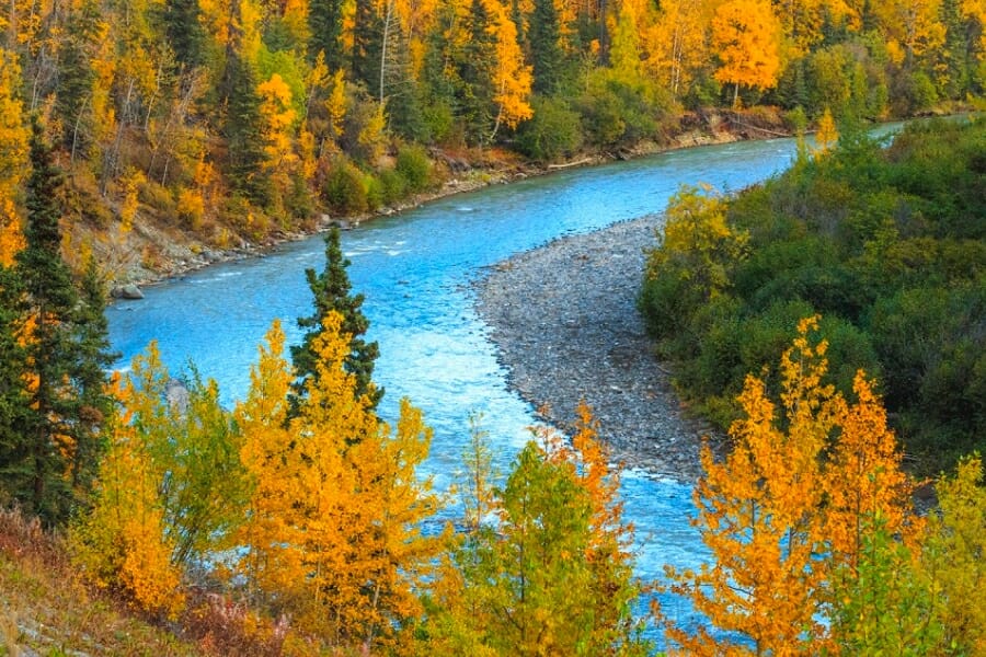Colorful view of the blue waters of Caribou Creek surrounded by trees during fall