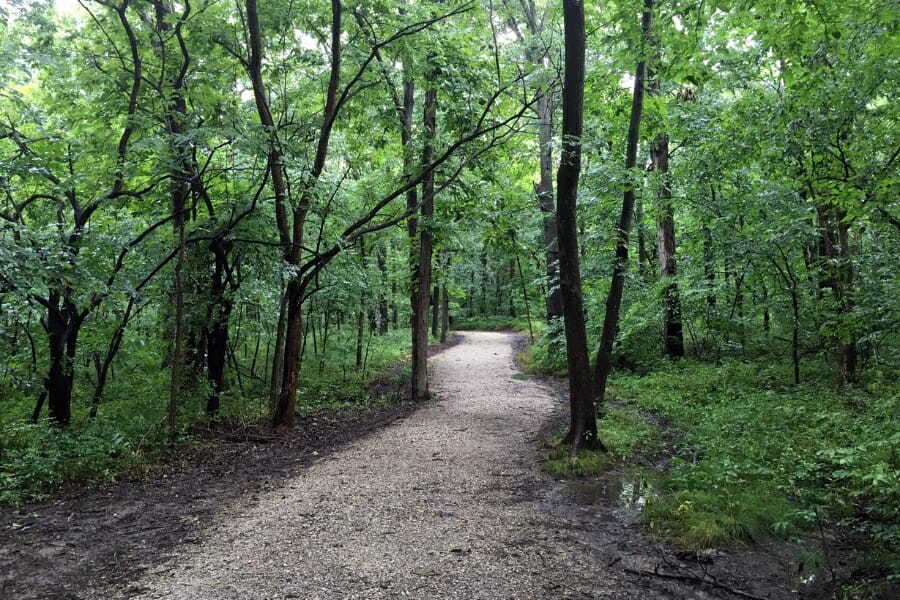 A trail that can be found at Cass County showing lush trees