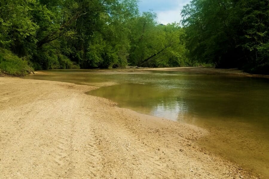 A stretch of the Copiah River's river banks surrounded by trees