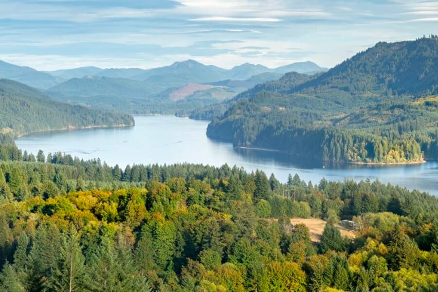 Stunning aerial view of one of the waters and landscapes in Cowlitz River