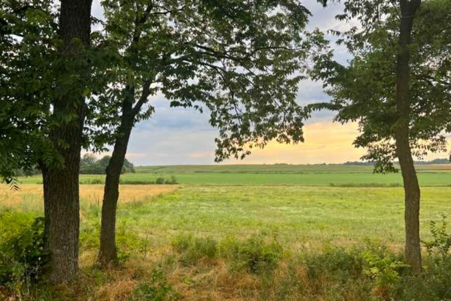 A peaceful view of a wide field foregrounded by trees in Dade County