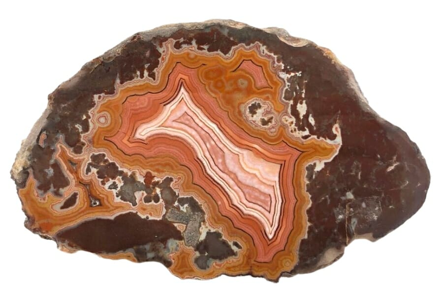 Exquisite piece of dryhead agate with clear patterns