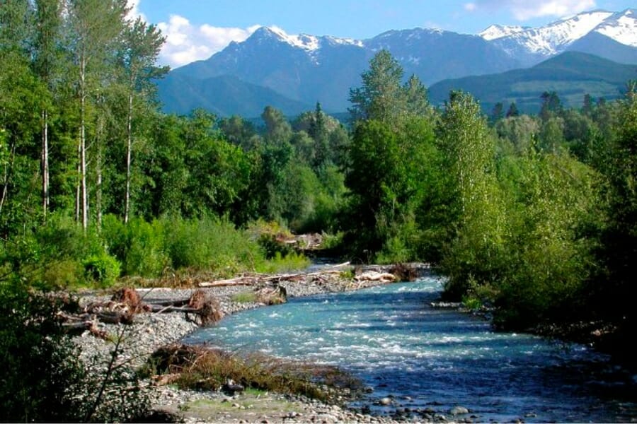 Captivating view of the Dungeness River and its surrounding trees and landscapes