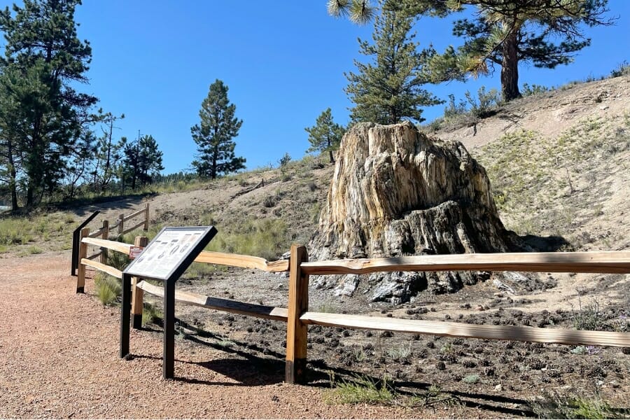 Clear daylight view of the Florissant Fossil Beds National Monument