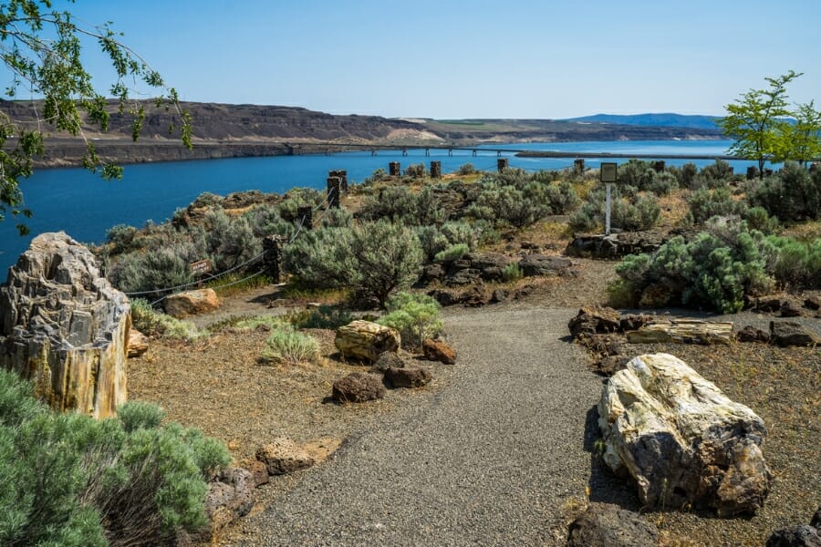 A historic place in the state where there is an abundance of petrified wood you can find