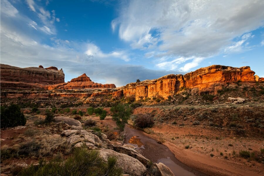 The beautiful landscape of Horse Canyon where petrified wood can be found.