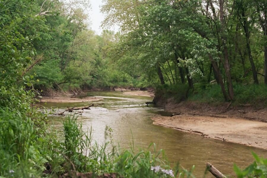 The water of Indian Creek calmly flowing in between forests of trees where agates can be found