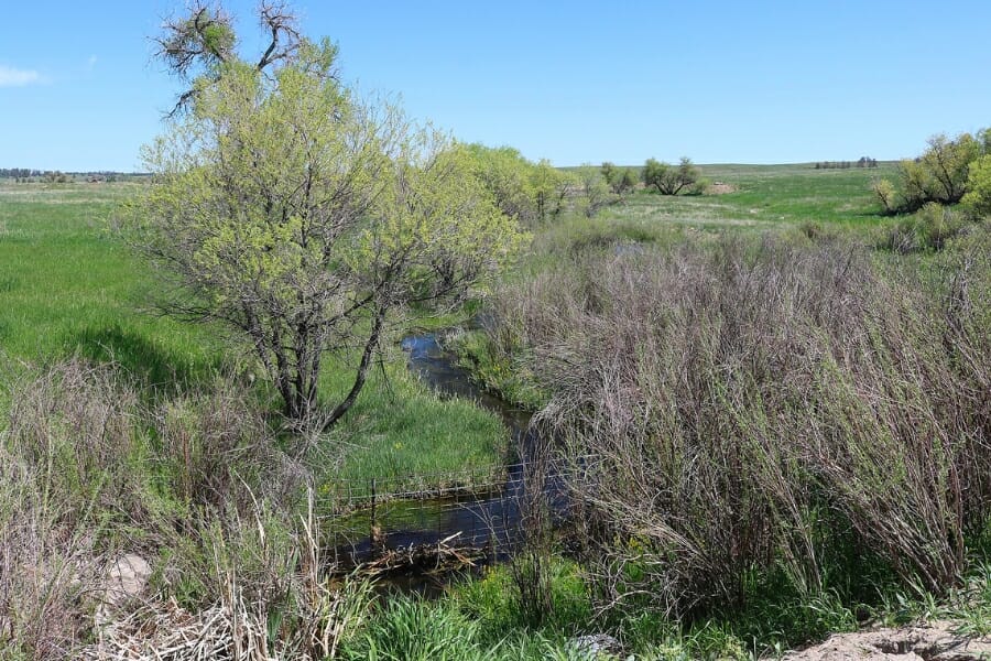 Kiowa Creek, one of the petrified wood-bearing sites in Elbert County