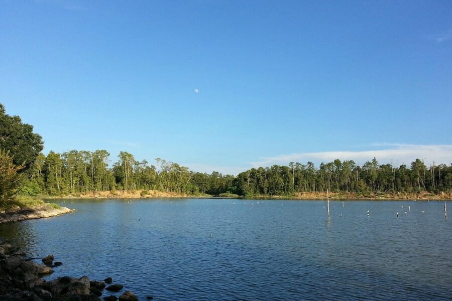 A pristine and calm lake where you can find petrified wood