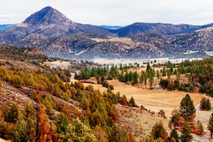 A majestic landscape of the Ochoco National Forest where agates are abundant