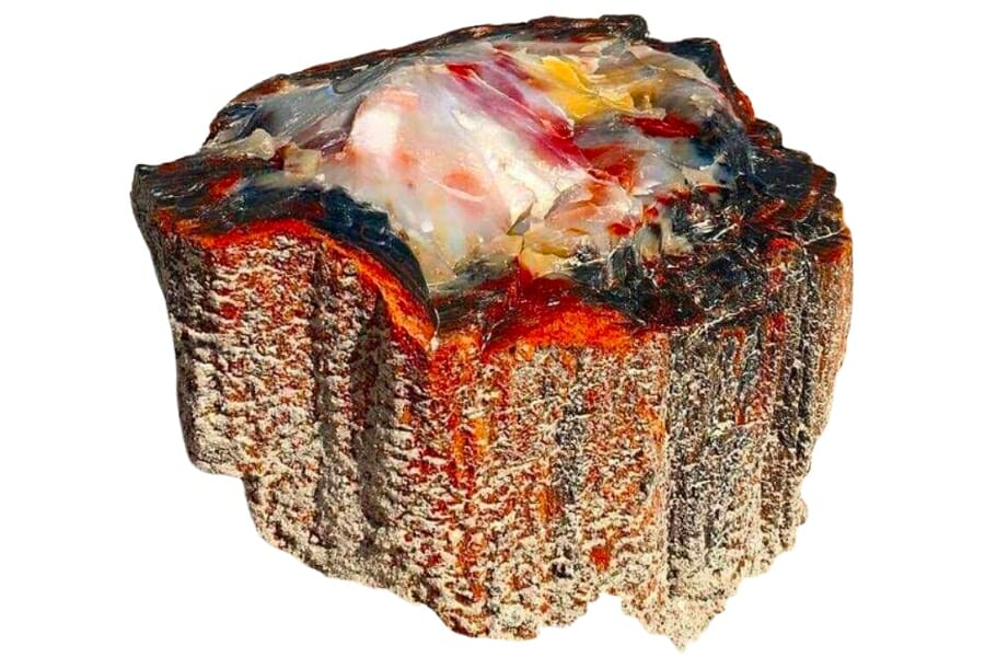 Colorful specimen of an opalized petrified wood