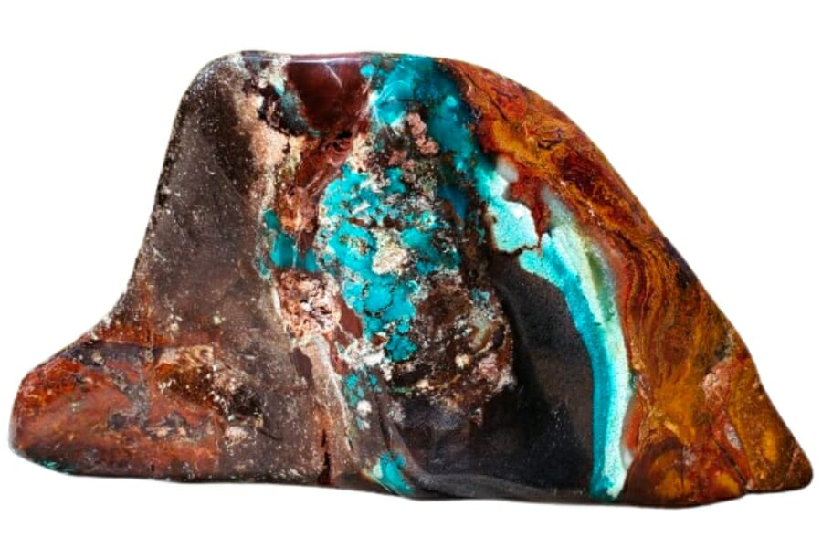 Close-up look at a blue opalized petrified wood