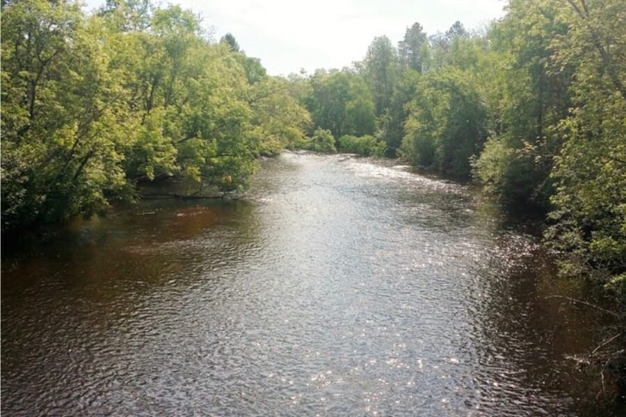 Overview of the Ounce River and its surrounding forests