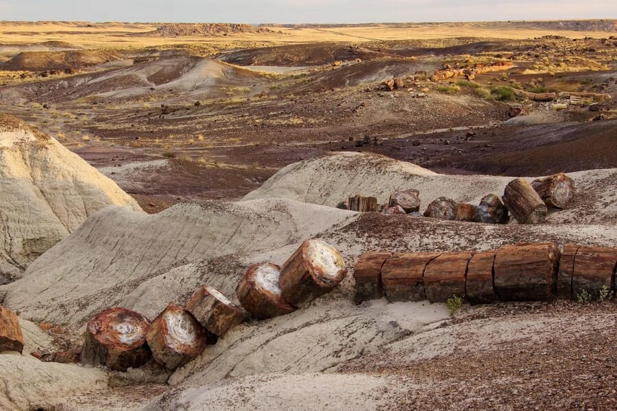 The picturesque view of Petrified Forest National Park where petrified wood is abundant