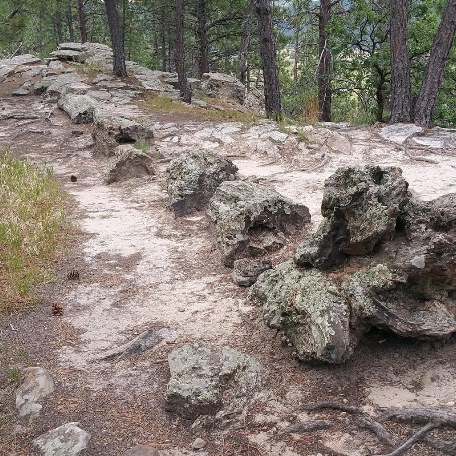 Trail at the  Petrified Forest of the Black Hills with a petrified tree