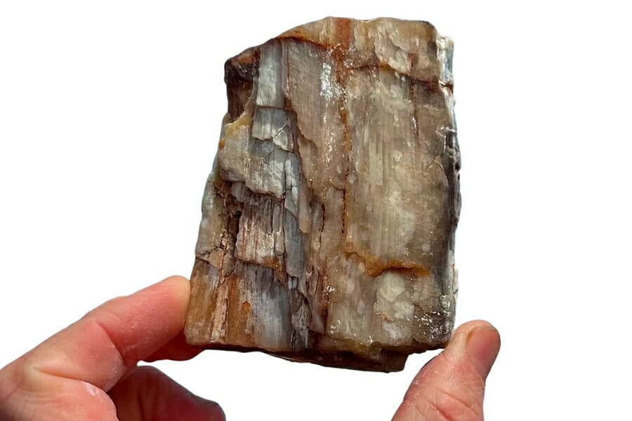 A small piece of petrified wood covered in opal and agate held up by a hand