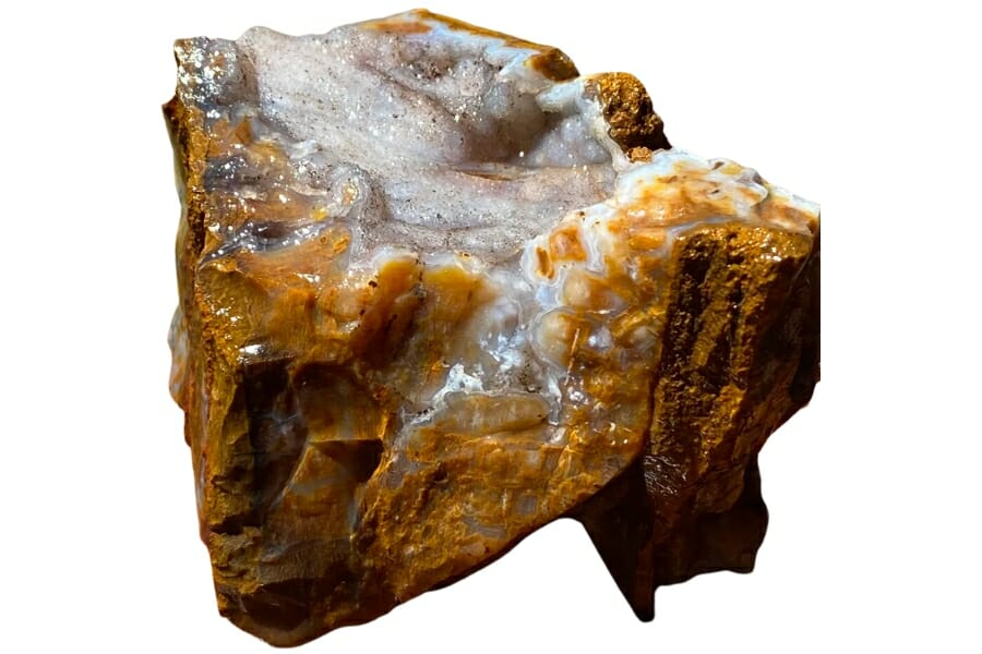 Close-up look at the details of a quartz druzy petrified wood
