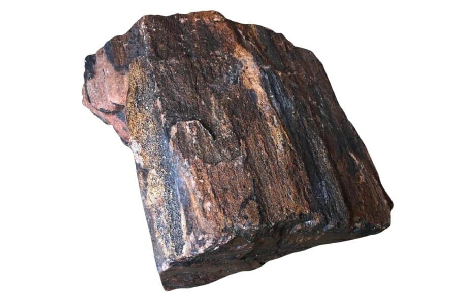 A nice slab of petrified wood