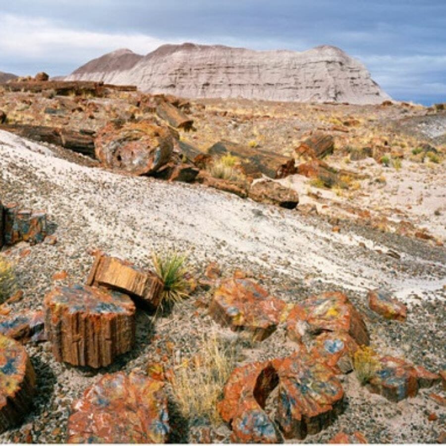Several large chunks of petrified wood at Petrified Forest National Park 