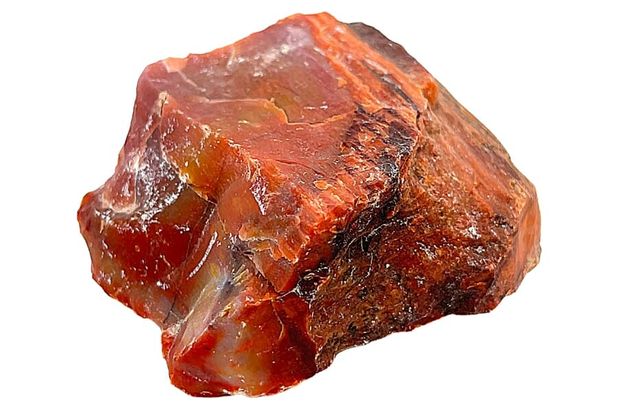 Close-up look at a small, mostly reddish petrified wood