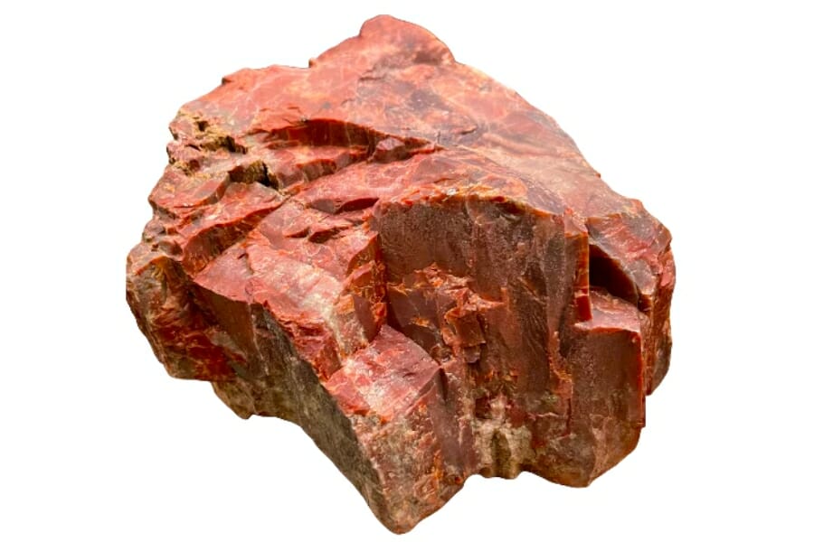 Fascinating piece of petrified wood that is mostly red in color and details