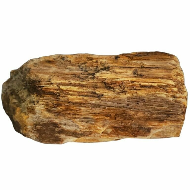 How And Where To Find Petrified Wood In 2024 An Expert s Guide how-and-where-to-find-petrified-wood-in-2024-an-expert-s-guide