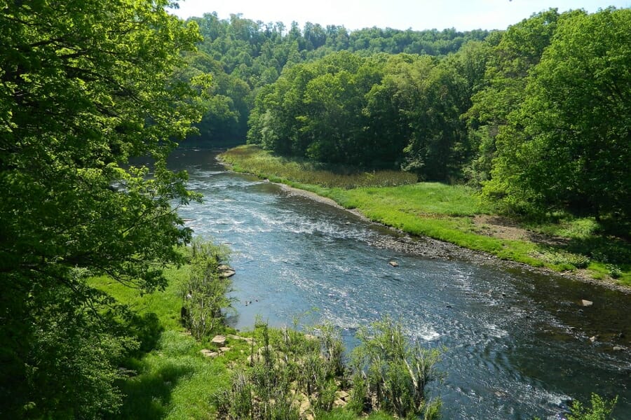 The rushing water at Redbank Creek surrounded by lush trees and forests where petrified wood can be found