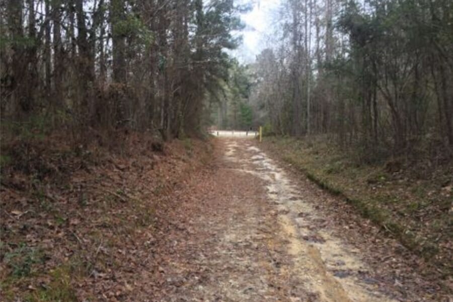 The muddy trail where you can trek to Sandy Creek and find agate specimens